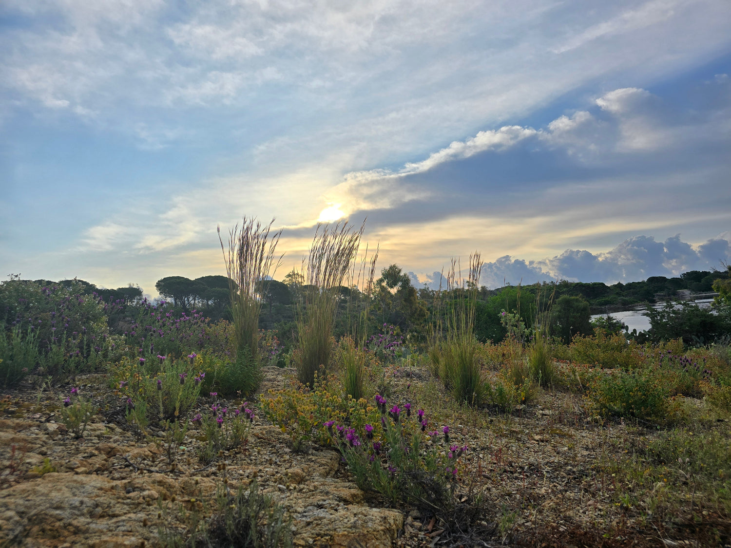 Sardinien