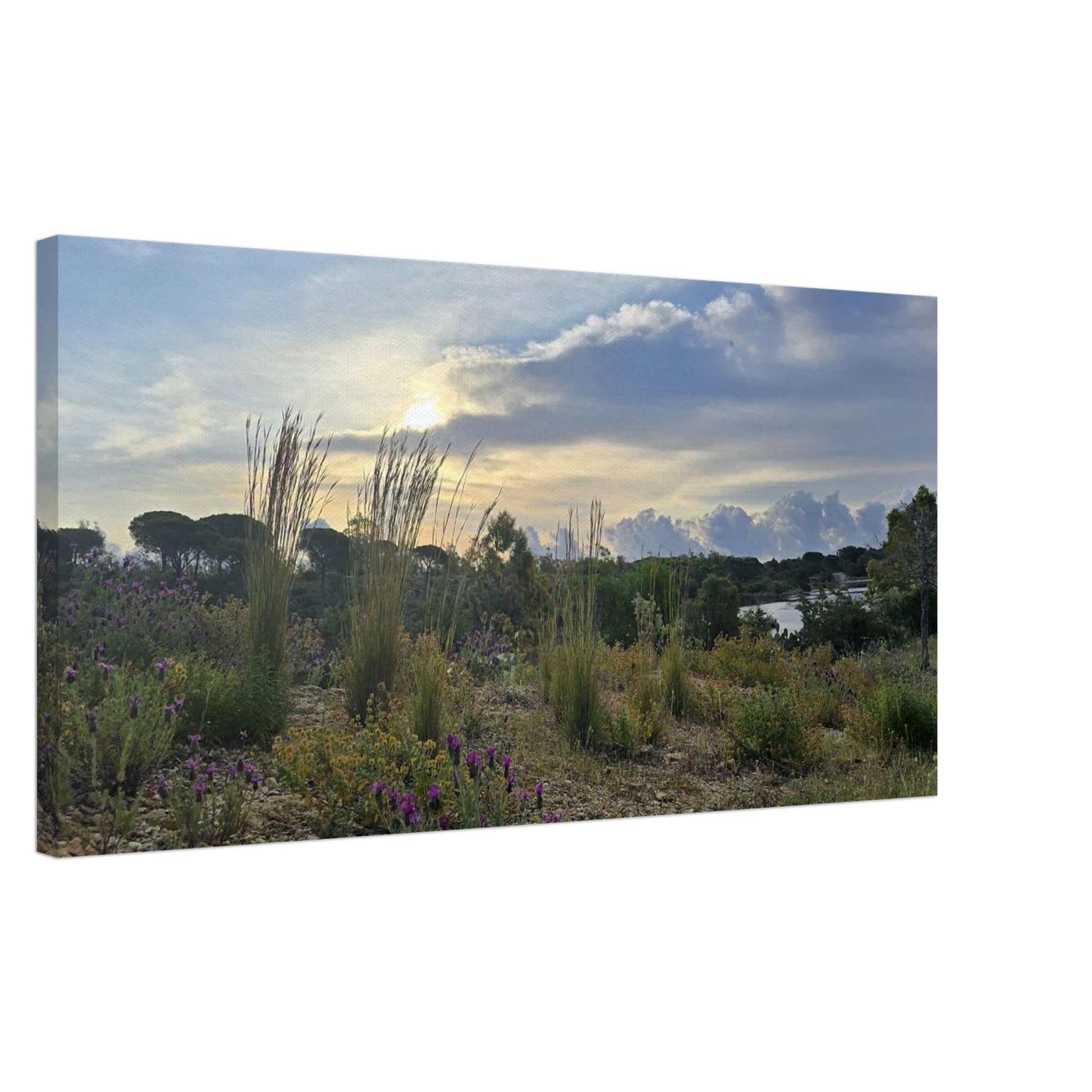 0e02fa4c-2350-4919-8a99-2707d299222b