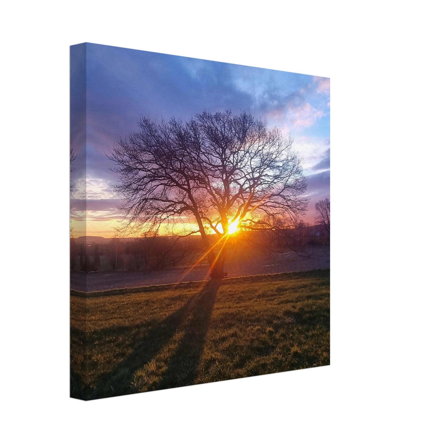 14148a48-2e3f-4bcd-9942-4d3d21987e8c