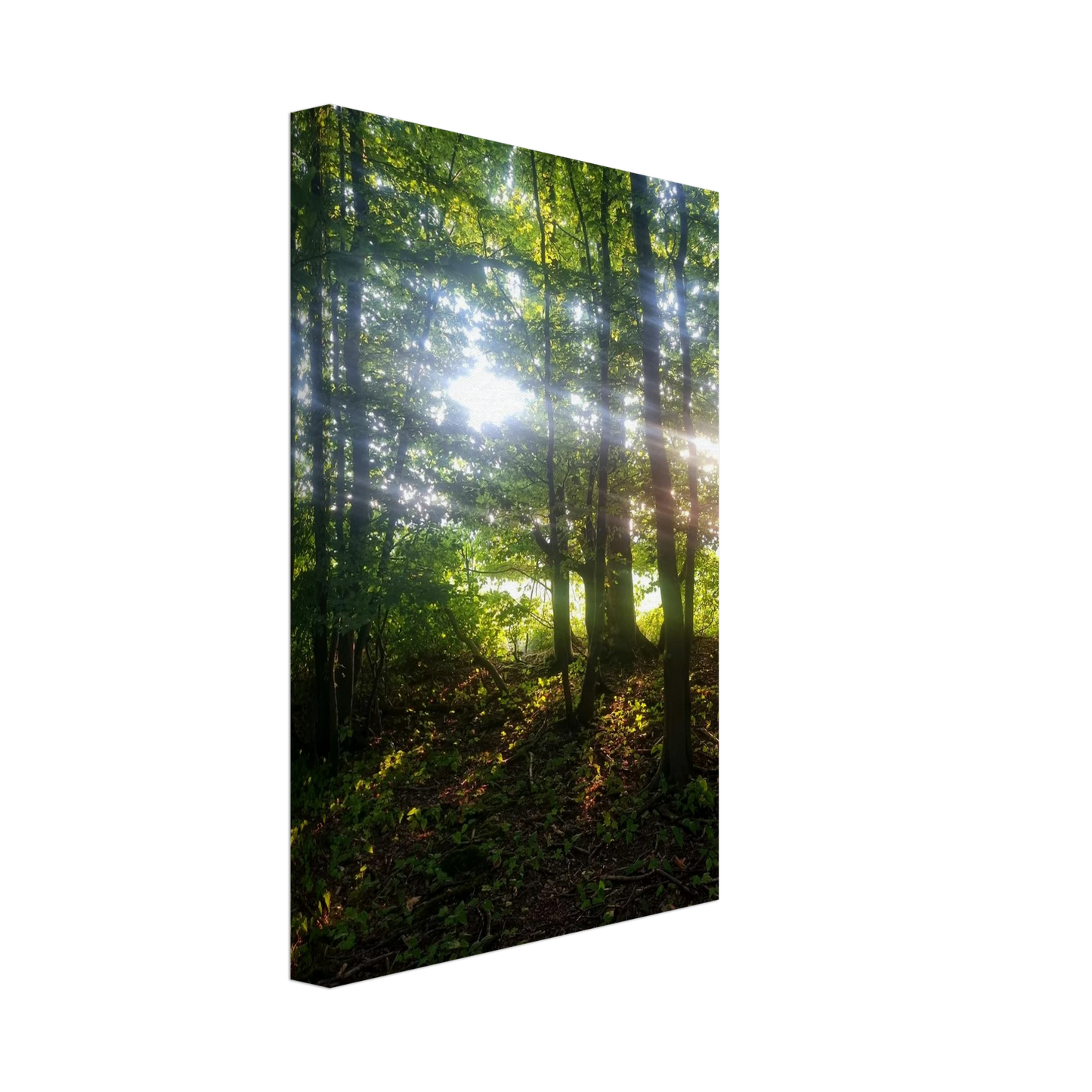 1eb7d2d2-7abc-4350-adf1-442ad3a85226