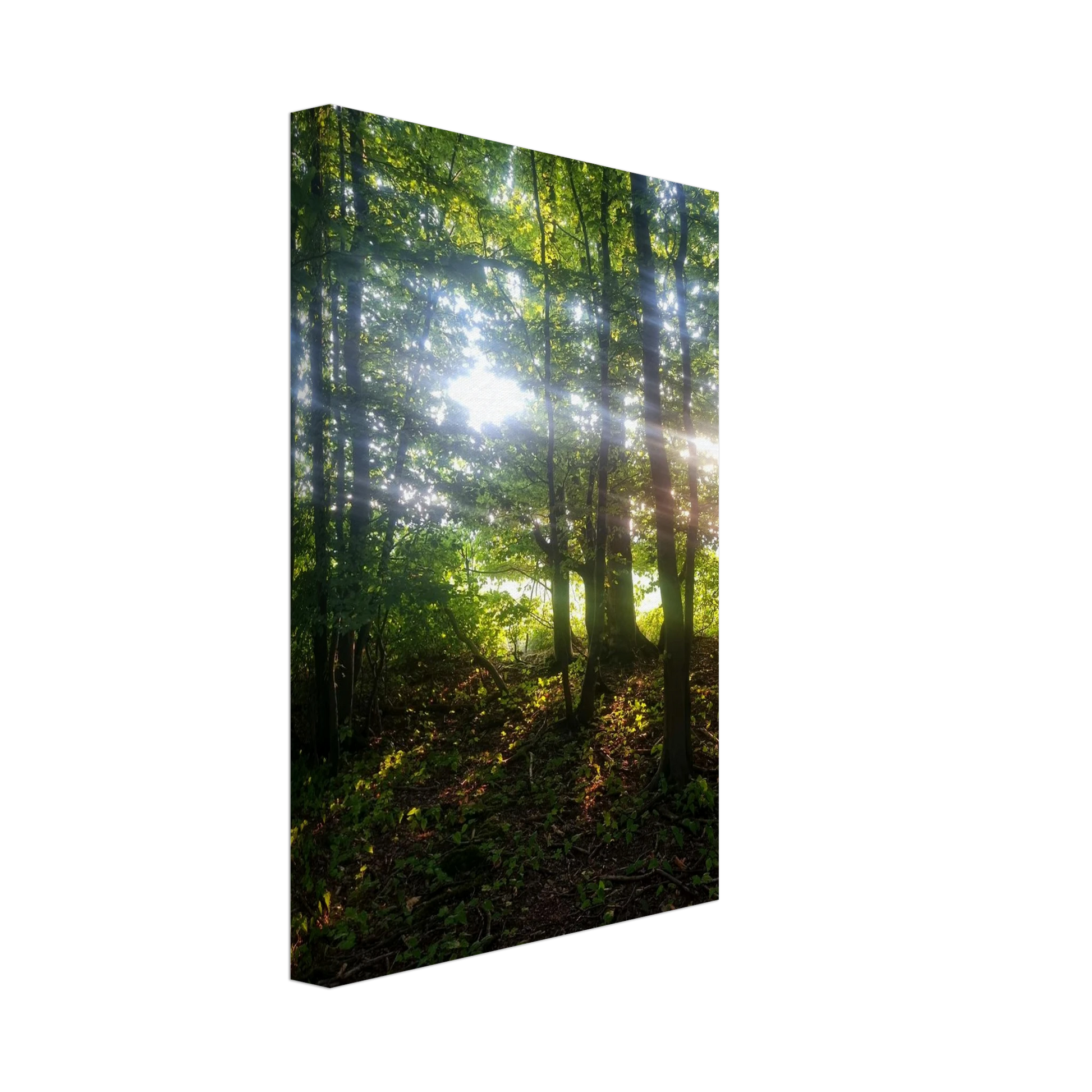 1eb7d2d2-7abc-4350-adf1-442ad3a85226