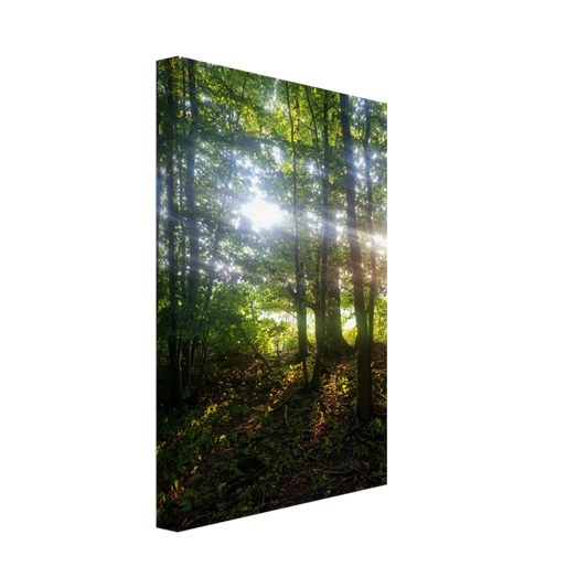 1eb7d2d2-7abc-4350-adf1-442ad3a85226