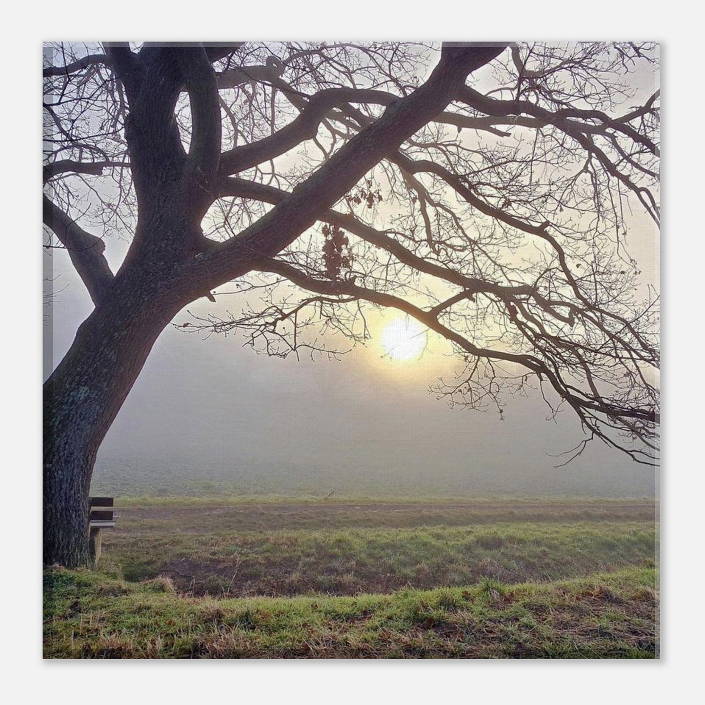 3ac9d667-8378-43fa-8ef0-f2d3e9ad393e