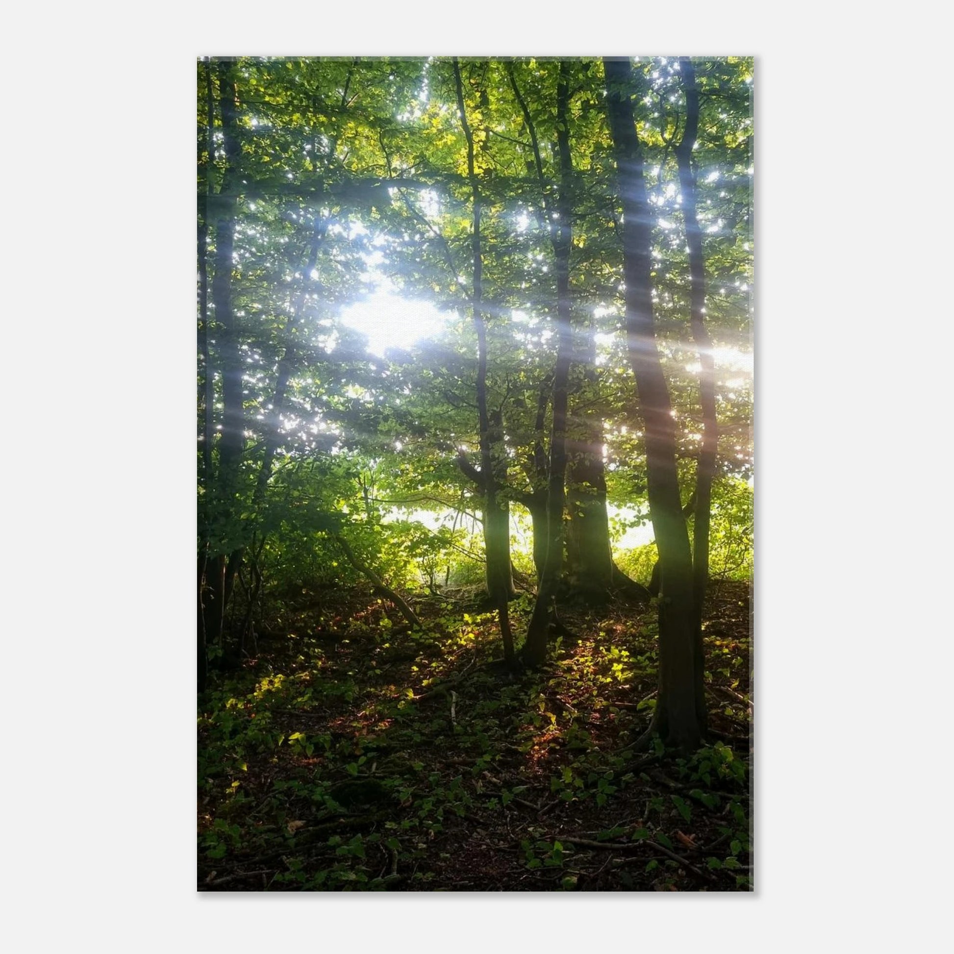 3e3dc29a-4d6e-43b4-b5e8-b9feeb5faf26