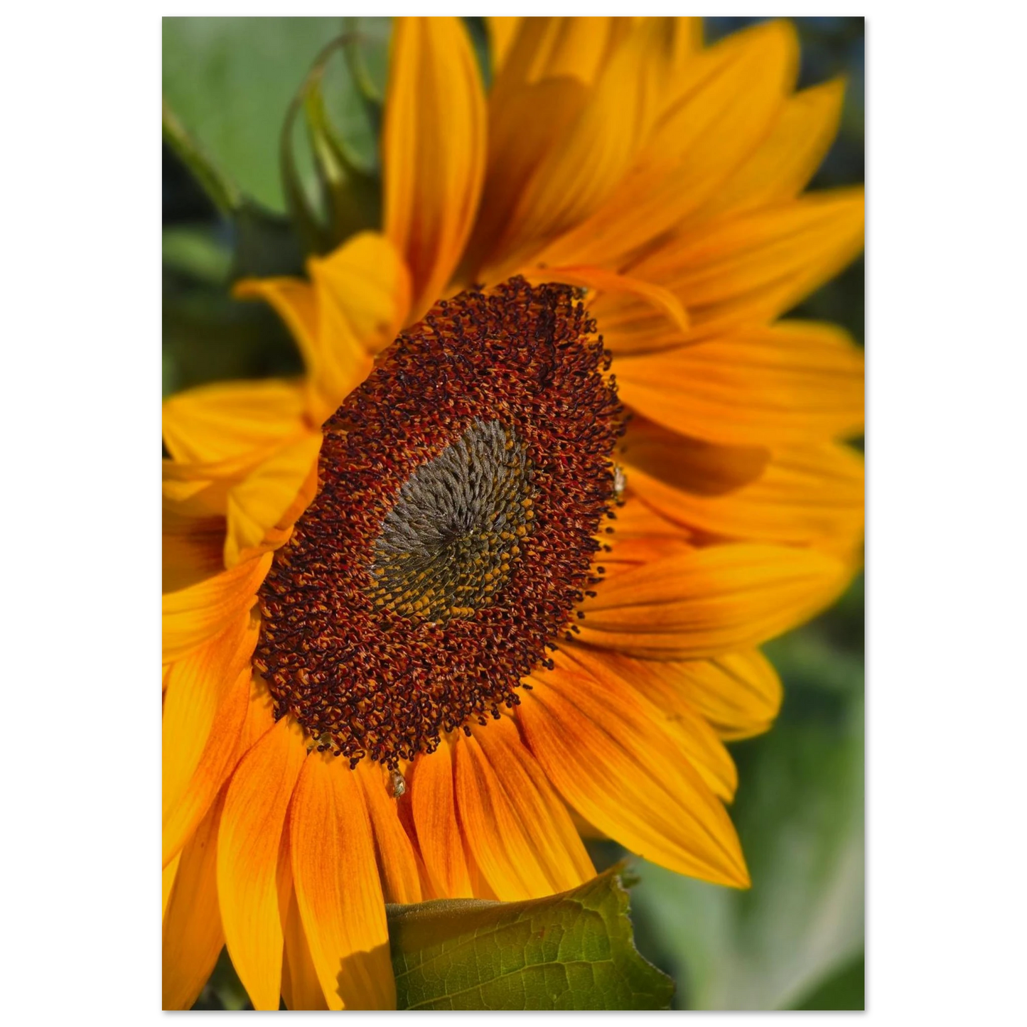4630c907-a704-447e-9d76-0496b19d01a2