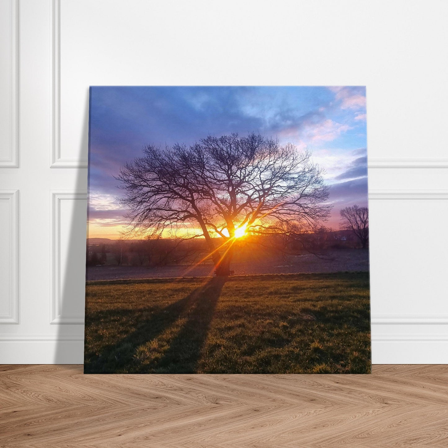 4b0cadaa-ae96-41db-801e-6c5ebd0a5531