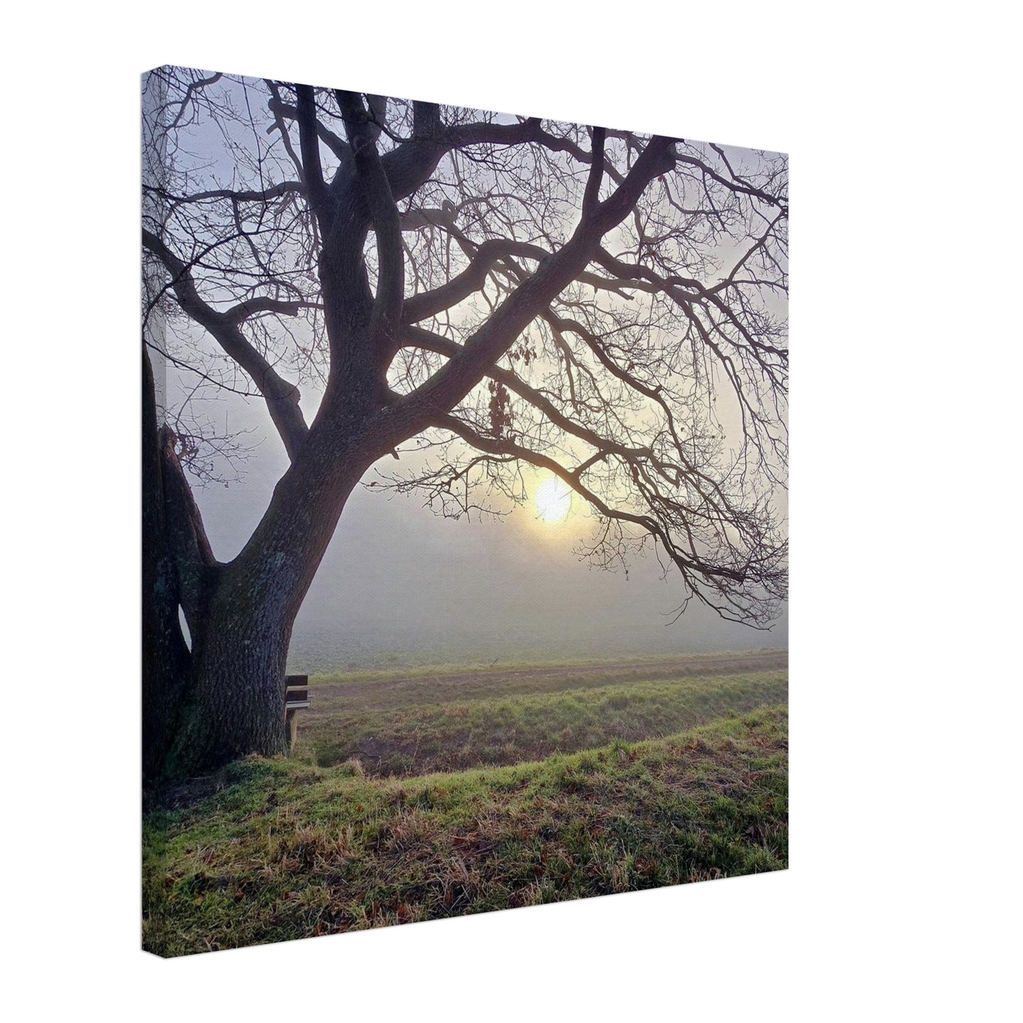 55dd984b-d5bf-43a7-98f0-30aeba536bde