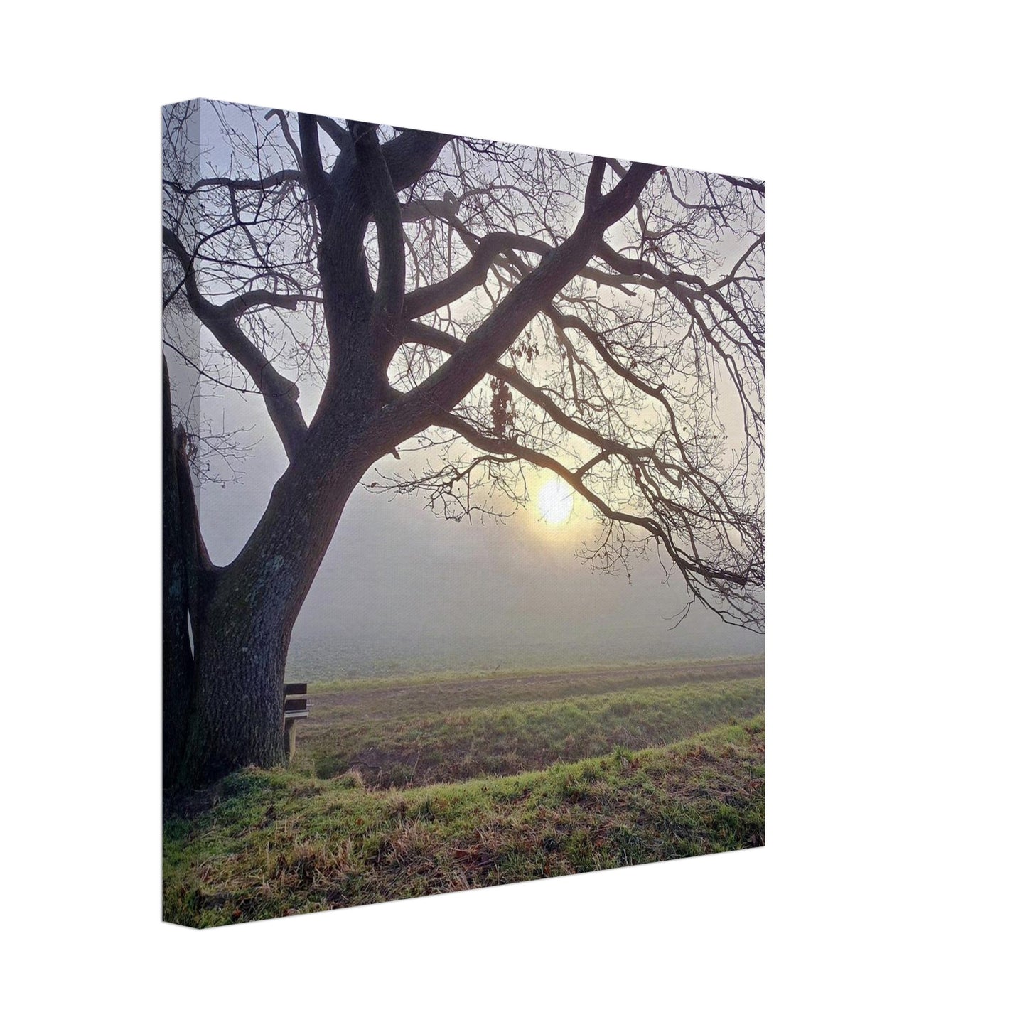 7c81432a-503c-44be-b6f1-dd09e5b86ae9