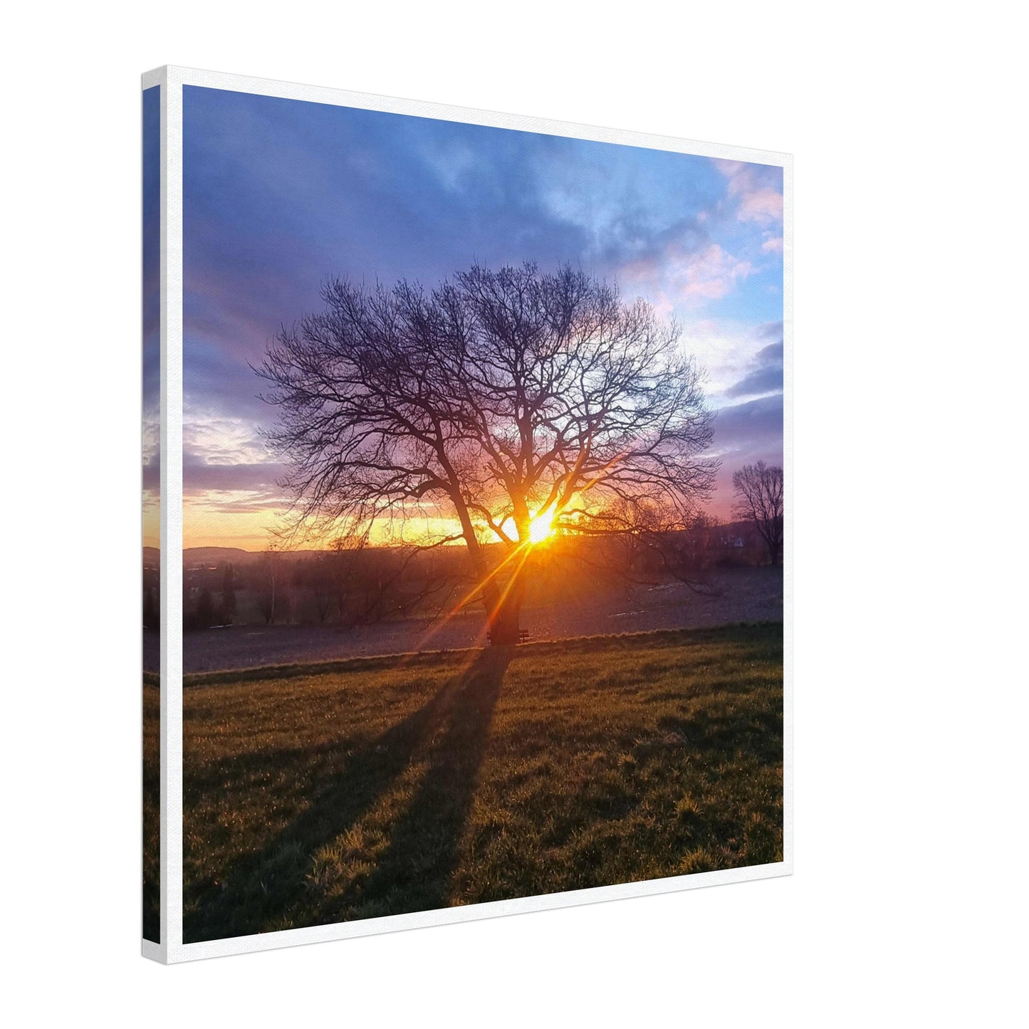 874b583d-7339-4de6-83b5-f587f79dbfc9