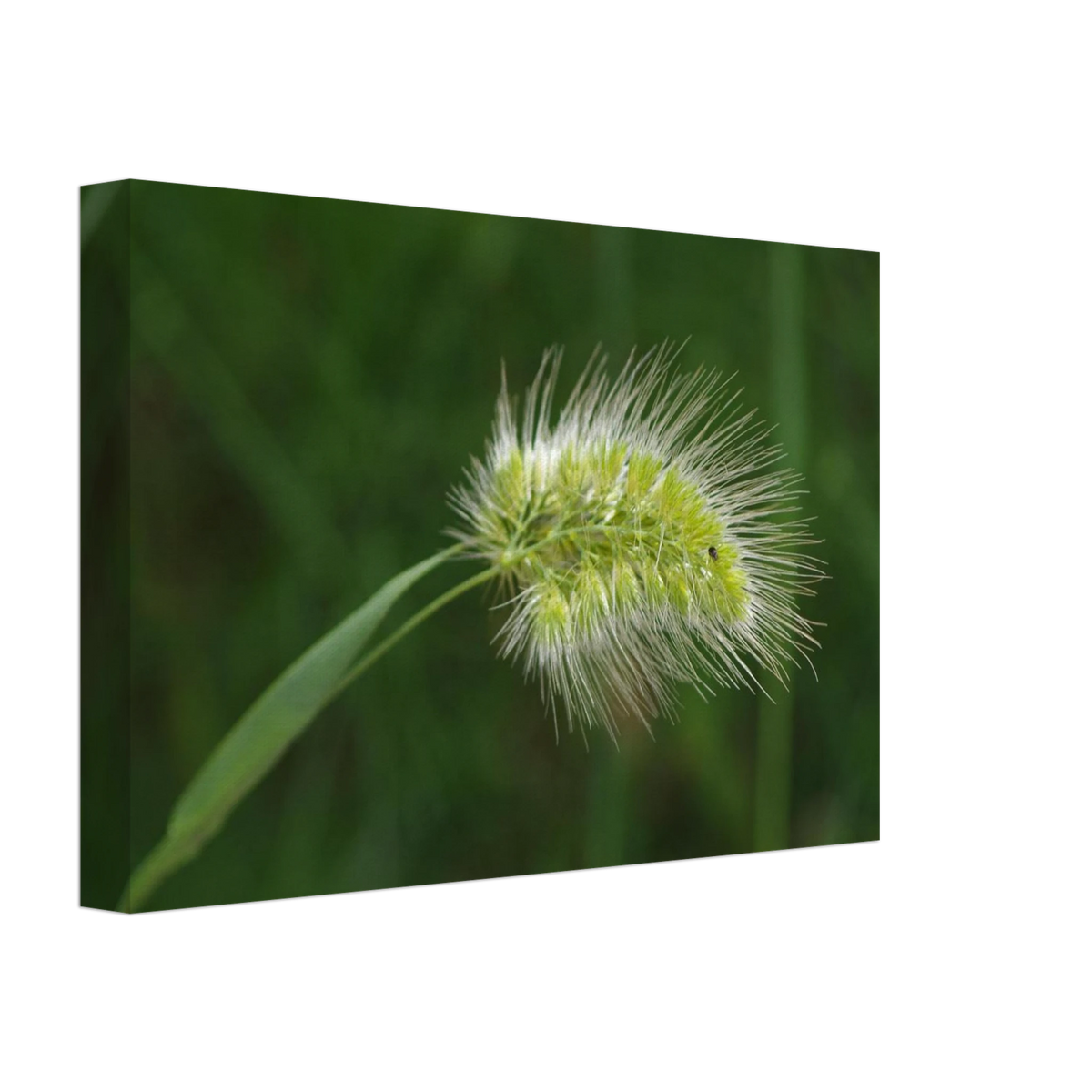 8827baf7-5a52-4cfa-b0d4-9a12a653f460