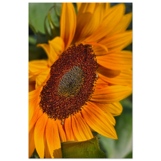 92f43937-3c2b-4538-b11f-2a8782e29fb9