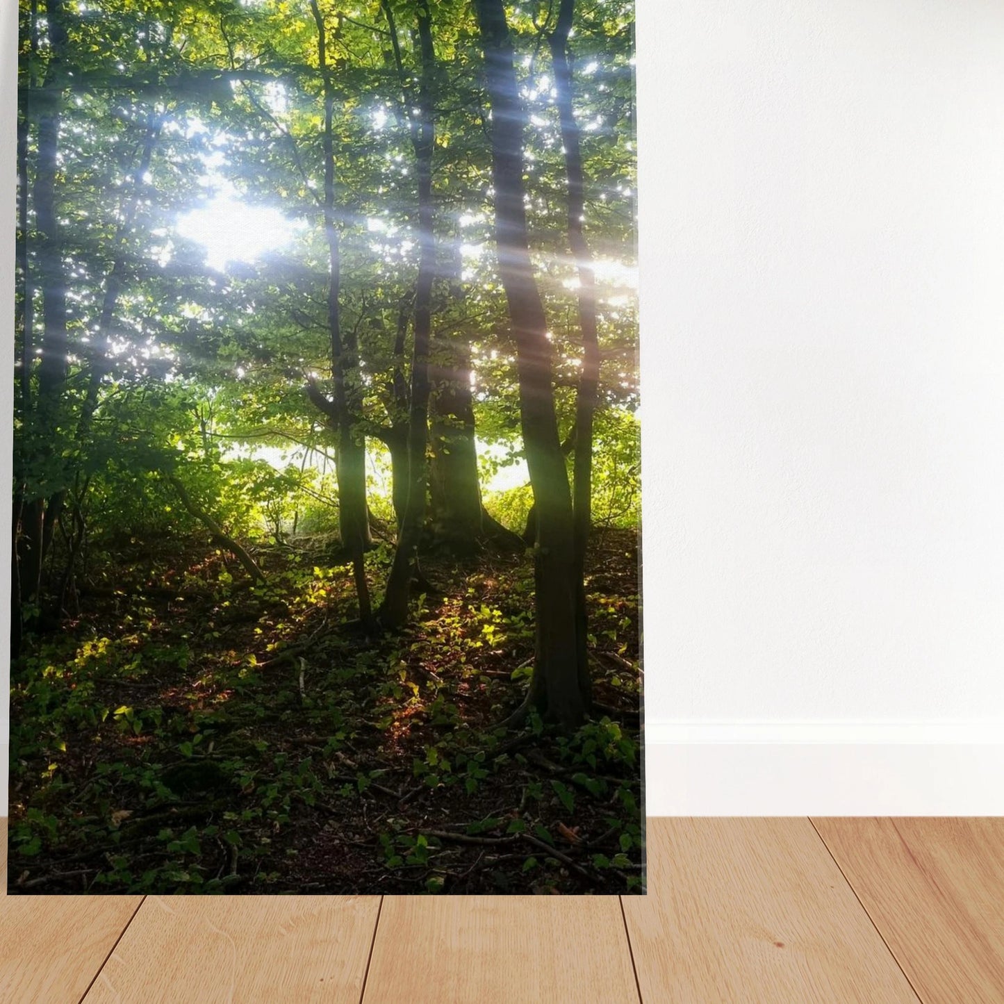 9c353d86-54b4-44b4-8dcb-16d037a7e244