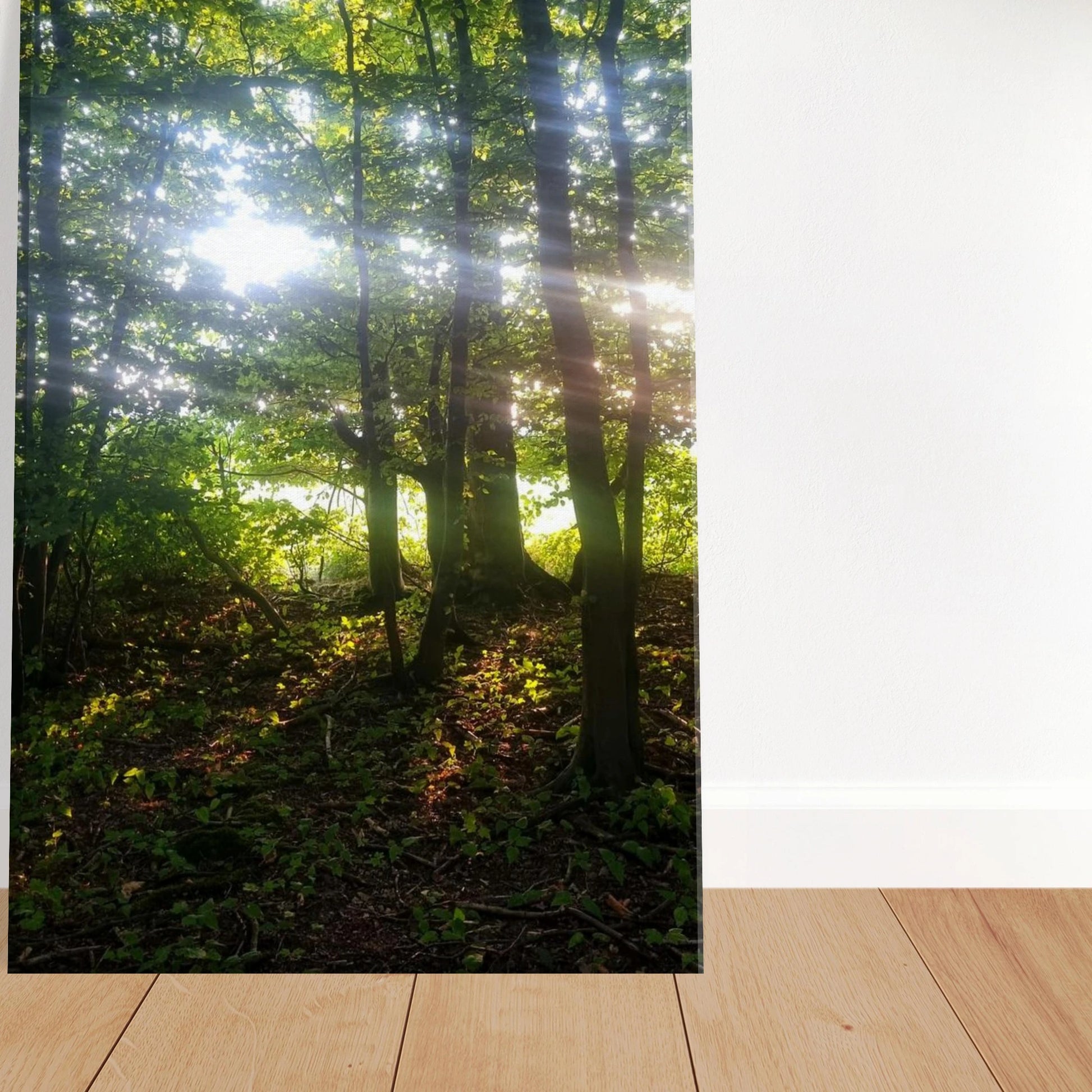 9c353d86-54b4-44b4-8dcb-16d037a7e244