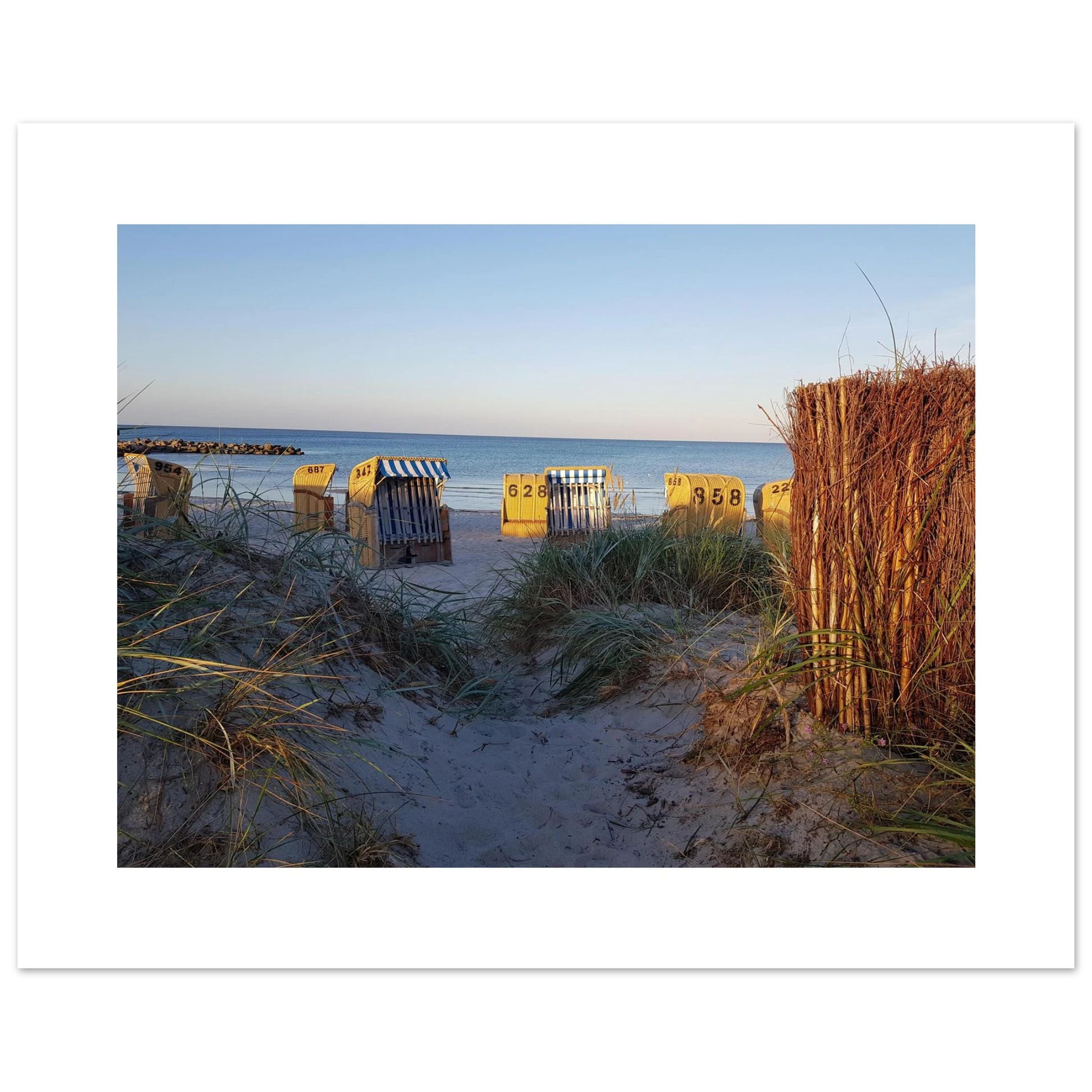 bc74e89e-e5bf-4516-afaf-96dc3e33b4d5