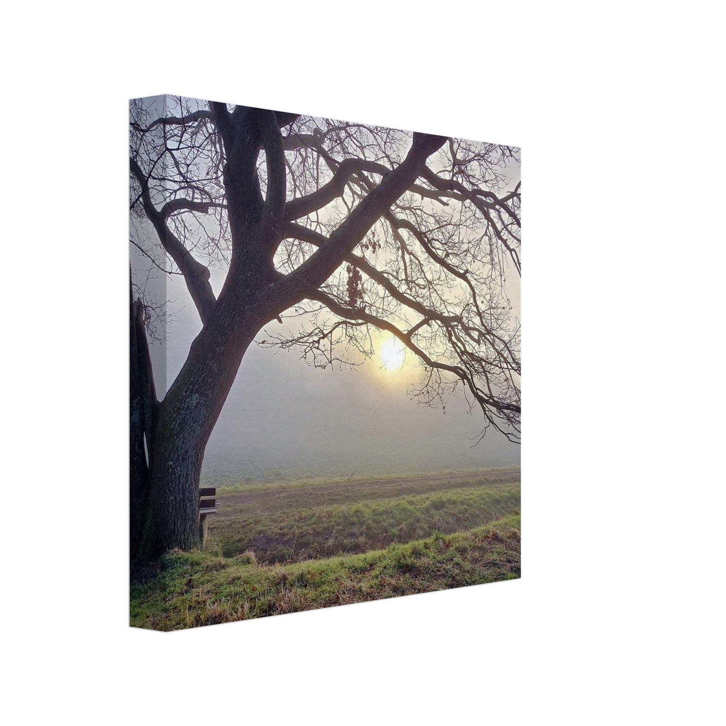 c18e278d-7a97-4316-83e8-4f65cb479e25