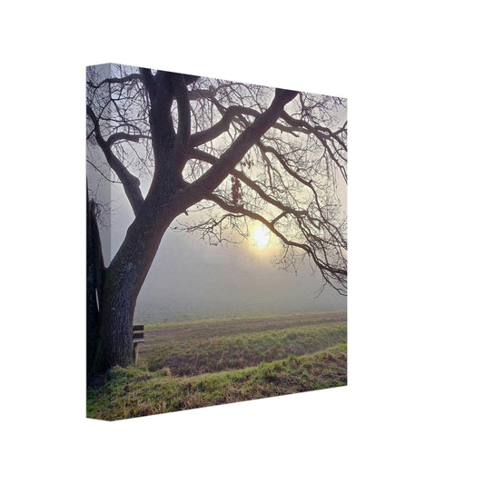 c18e278d-7a97-4316-83e8-4f65cb479e25