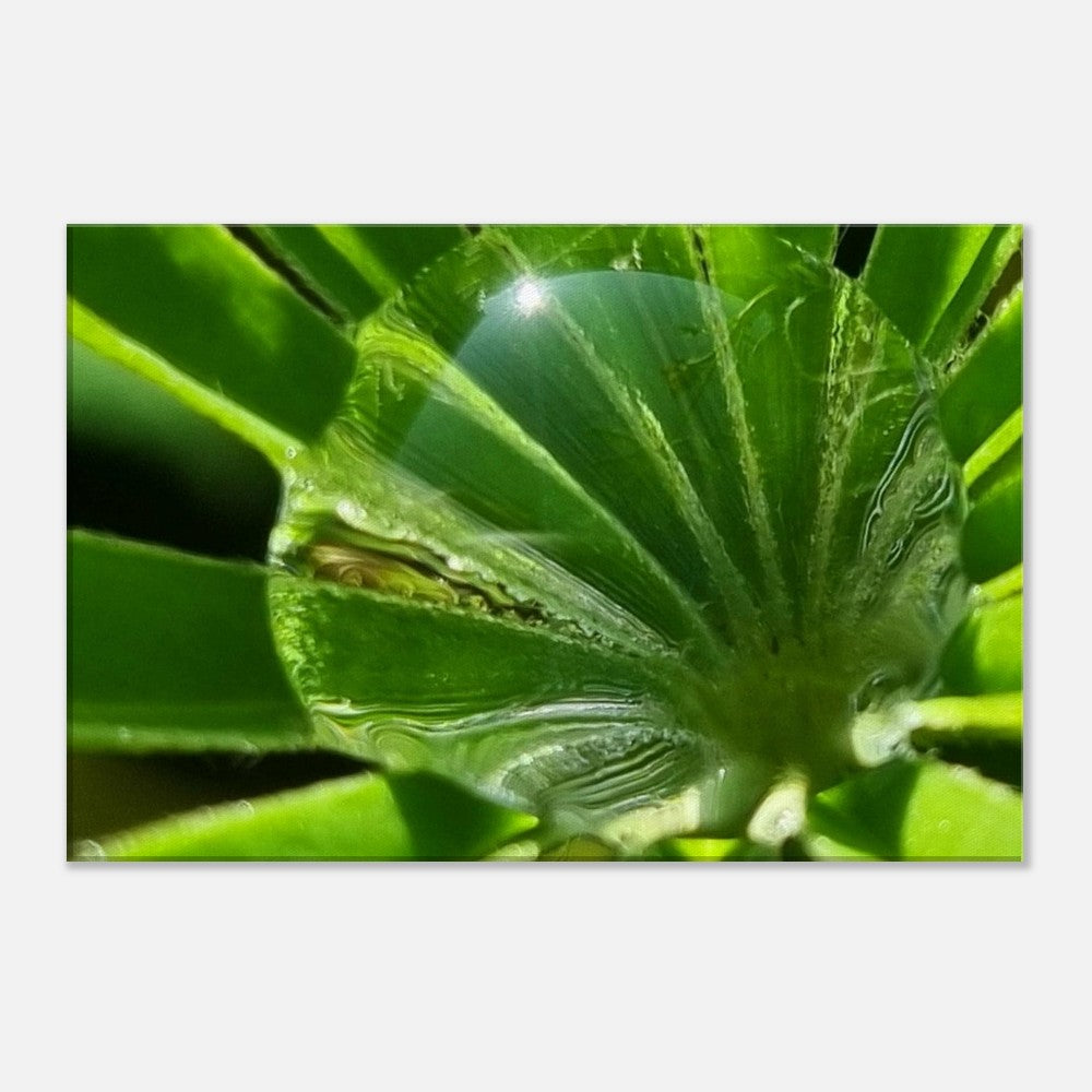 d242a735-f1d6-4413-bc3e-8184ecb54da8