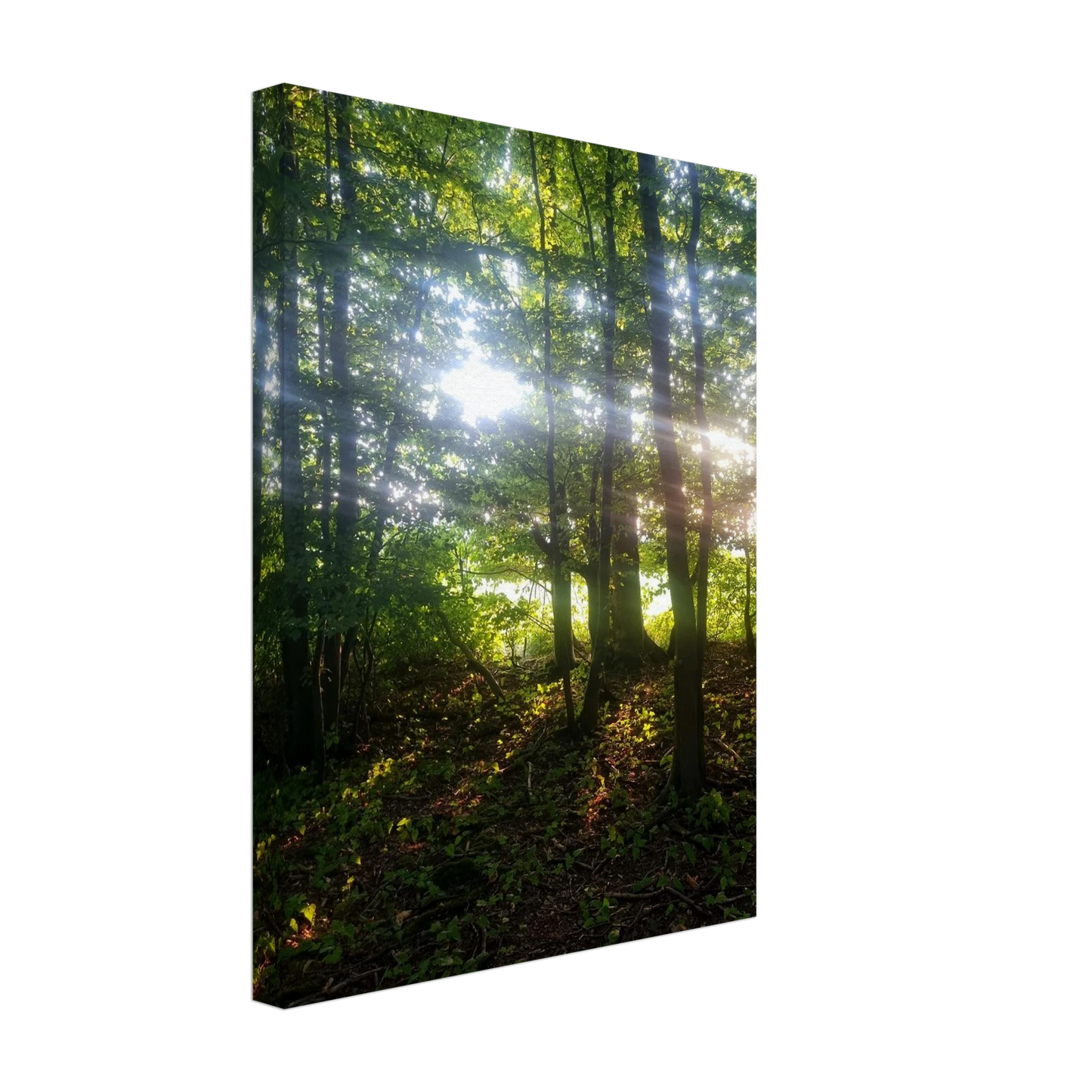 d6922ed3-6871-4d80-98d5-07491b61ad2f