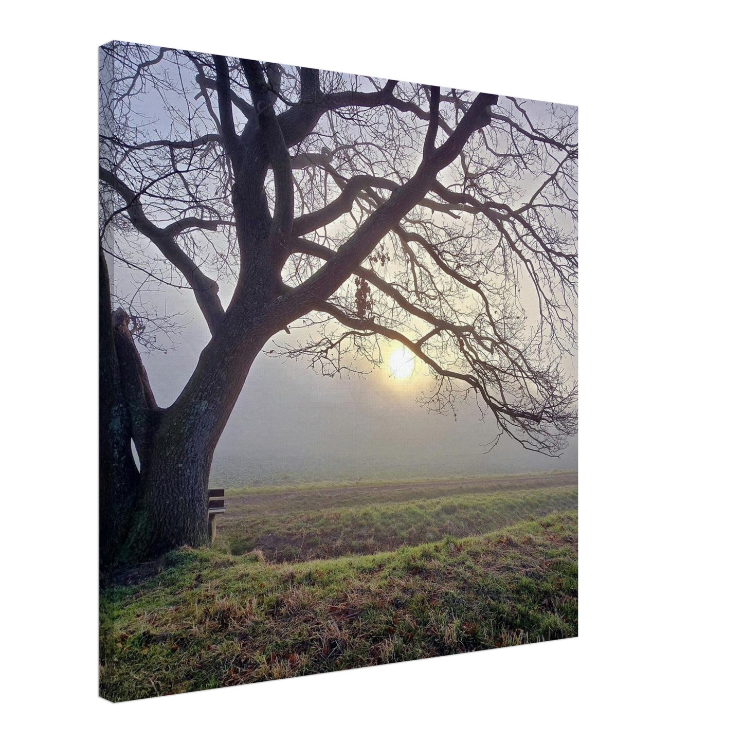 de894f56-c346-4041-853f-e46a33f3b5ae